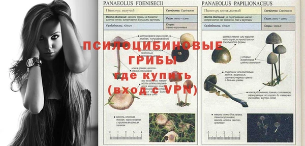 а пвп мука Кинешма